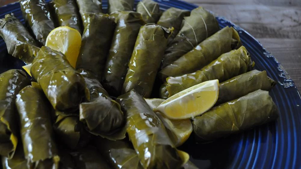 Dolma Fetchy Facts