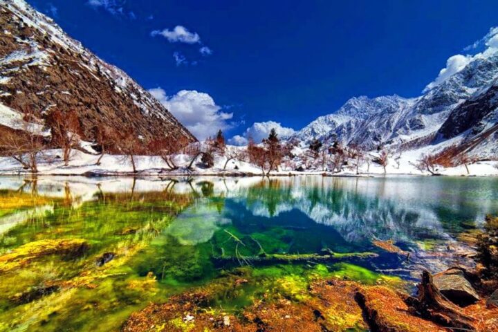 Northern areas of Pakistan Naltar-Valley