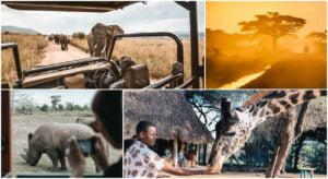 Best country for safari in Africa - Top African Safari Countries. Fetchyfacts