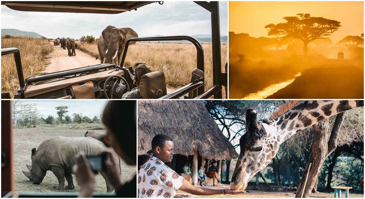 Best country for safari in Africa - Top African Safari Countries. Fetchyfacts