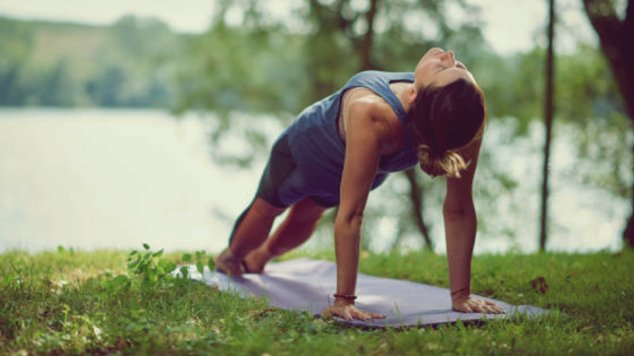 Plank Types and Benefit of Planks 